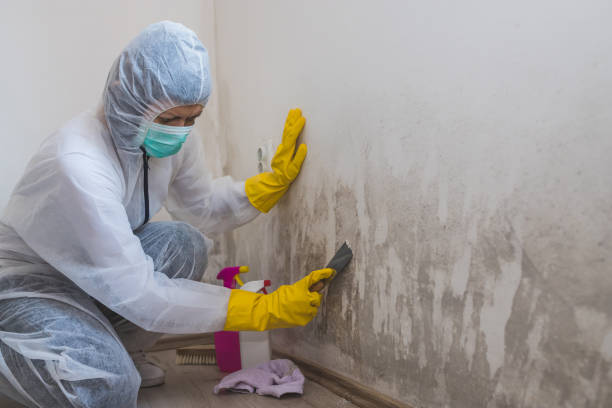 Best Crawl Space Mold Removal  in Hanscom Af, MA