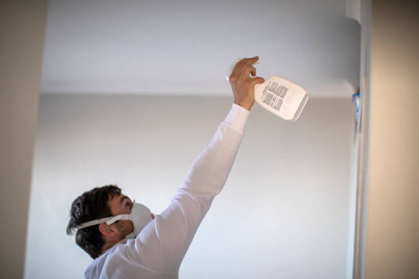 Best Mold Testing  in Hanscom Af, MA