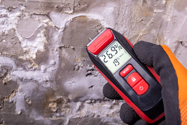 Best Certified Mold Removal  in Hanscom Af, MA