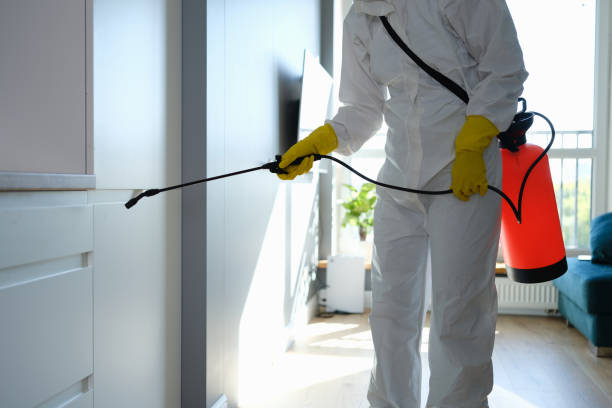 Best Commercial Mold Removal  in Hanscom Af, MA