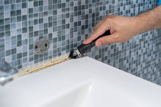 Best Local Mold Removal Service  in Hanscom Af, MA
