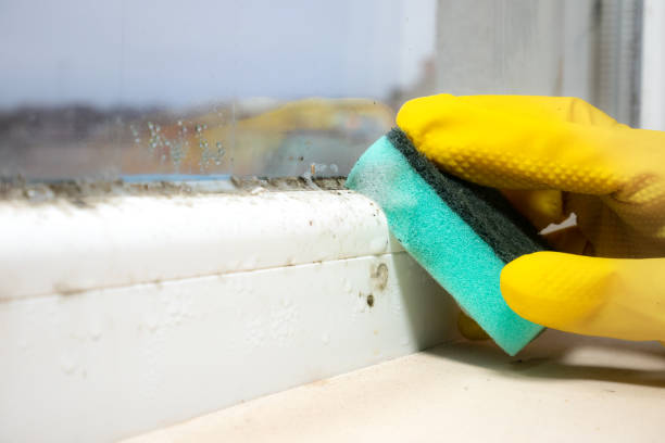 Best Water Damage Restoration  in Hanscom Af, MA