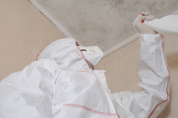 Water Damage Restoration in Hanscom Af, MA