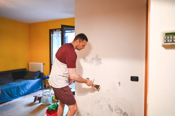 Office Mold Removal Services in Hanscom Af, MA